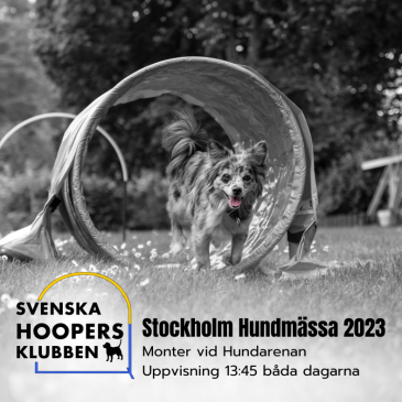Stockholm Hundmässa 2023